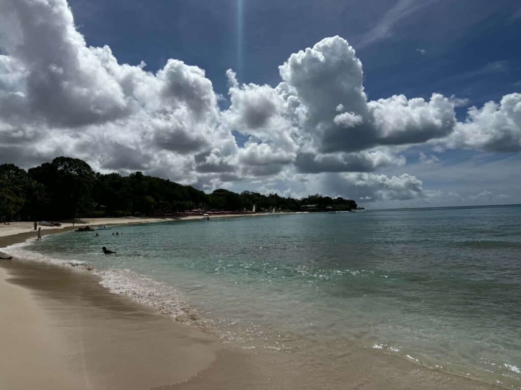 beach on a sunny day